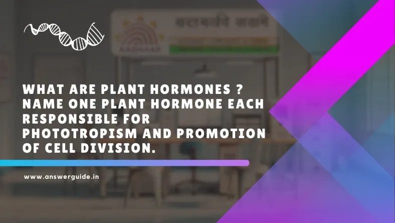 Plant Hormones